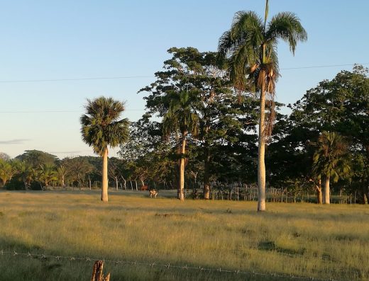 San Rafael Del Yuma