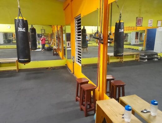American Gym