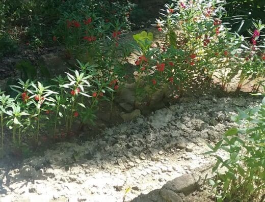 Centro De Proteccion Jardin De Villa Flor