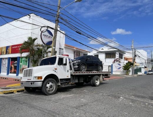 Chapulin gruas