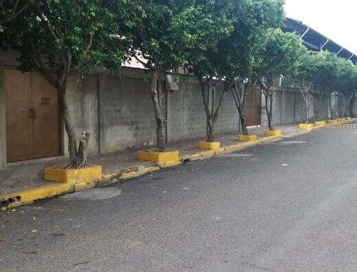 Colegio Los Pininos