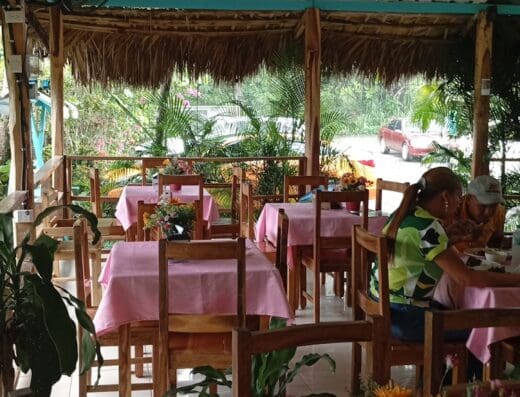 Comedor scarle