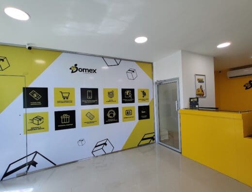 Domex