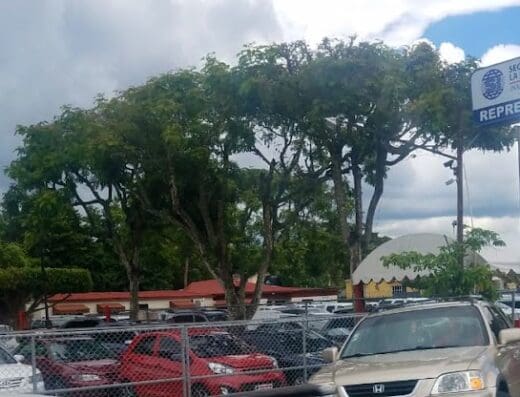 Ferreiras Motors Srl