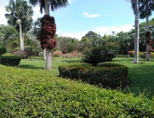 Jardin Memorial Patria Mirabal de González
