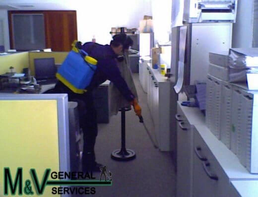 MV General Services