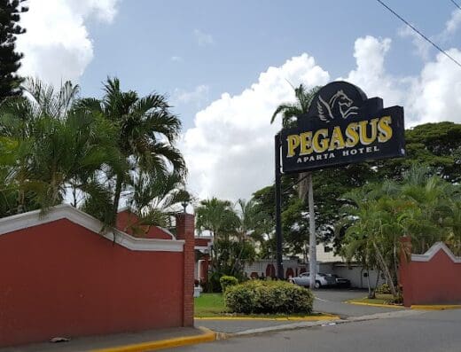 Pegasus