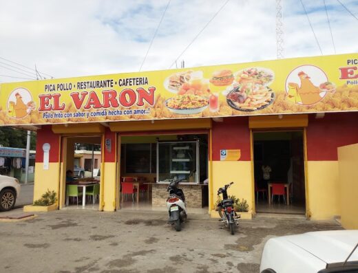 Pica Pollo Don Orquidea