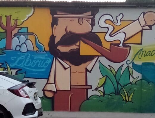 Pintura de Liborio #PSP CP