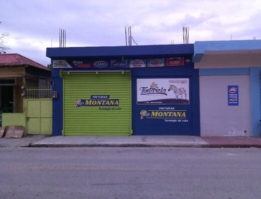 Pinturas Montana