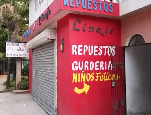Repuesto Linaje