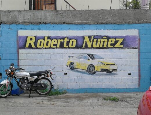 Roberto Nuñez Mecanico