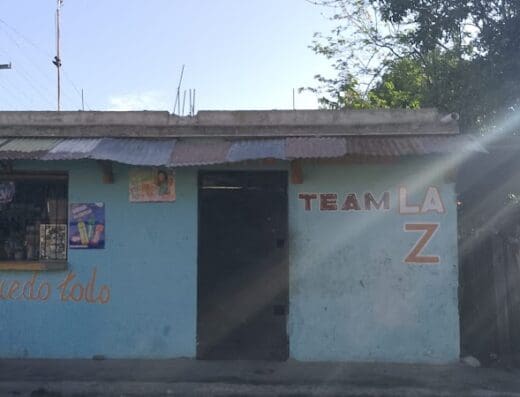 Tema la z