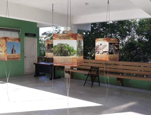 Veterinaria Medina