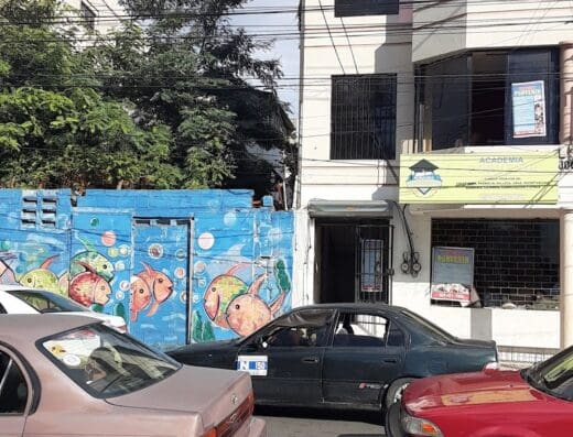 Academia porvenir