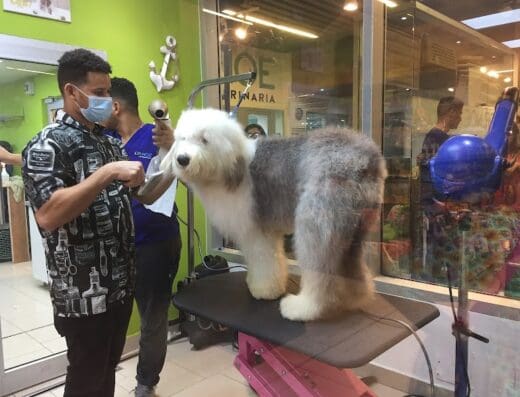 Arca Petshop