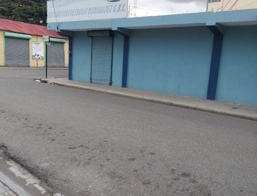 Autorepuestos Lucilo Dominguez