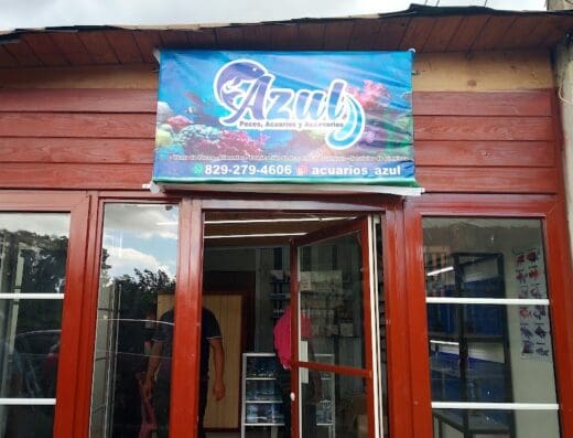 Azul peces Acuarios Y Accesorios