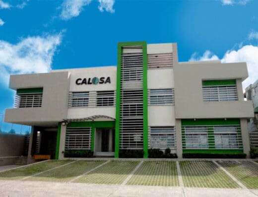 Calosa