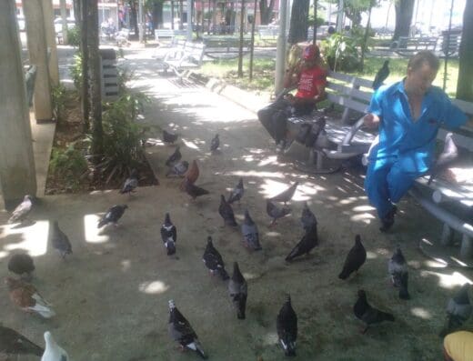 Cancha Cacino