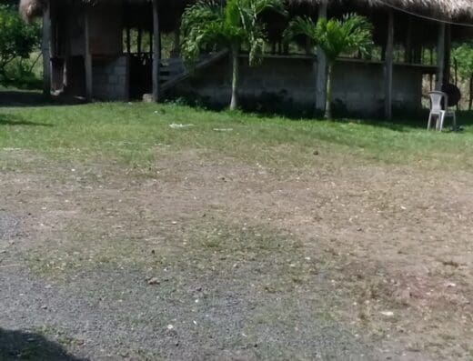 Club Gallistico El Rancho