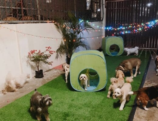 El Hogar de Lola