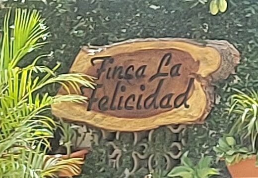 Finca Junior Acosta
