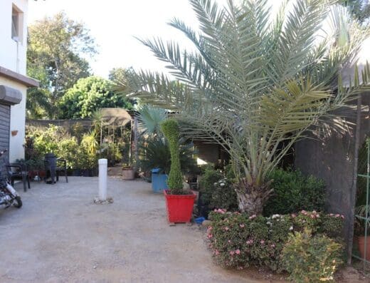 Genial Vivero