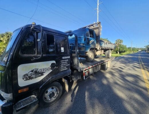 Grua Gershom SRL