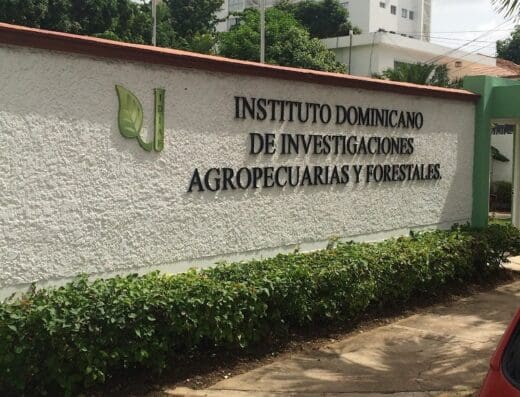 Instituto Dominicano de Investigaciones Agropecuarias y Forestales (IDIAF)