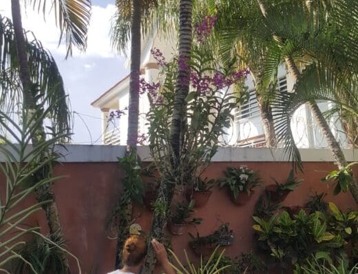 Jardín De Lina