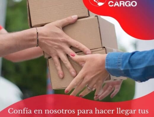 Mundo Cargo Pedro Brand