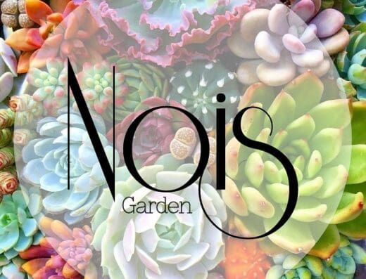 Nois Garden