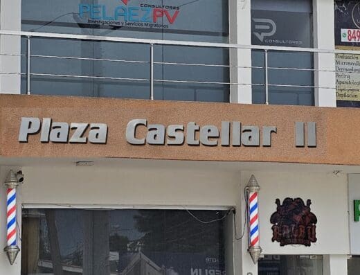 PelaezPV Consultores, SRL