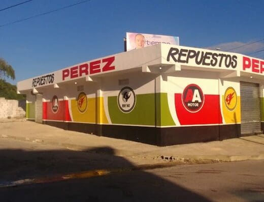 REPUESTOS Pérez