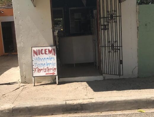 SERVICIOS NICEMI