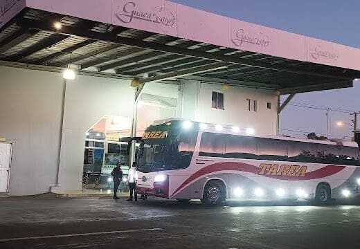 Tarea Bus