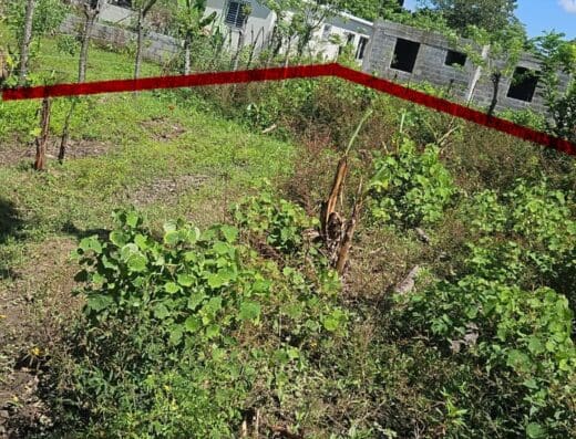 Terreno Privado Coronel Rojas
