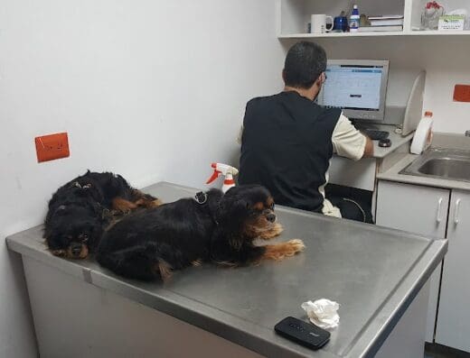 VetPlaza