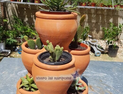 Vivero Las Mariposas