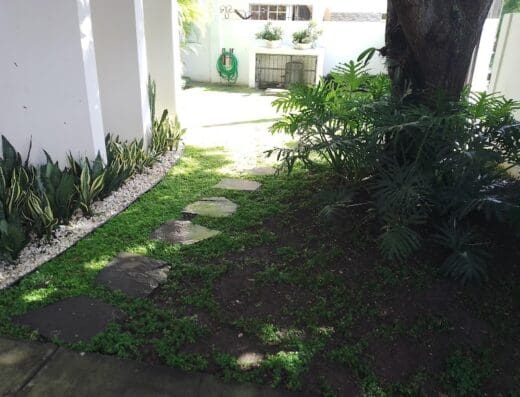 Vivero Luis
