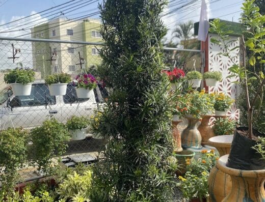 Vivero Sajour