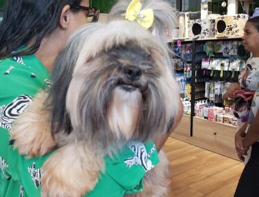Woofi PetClub